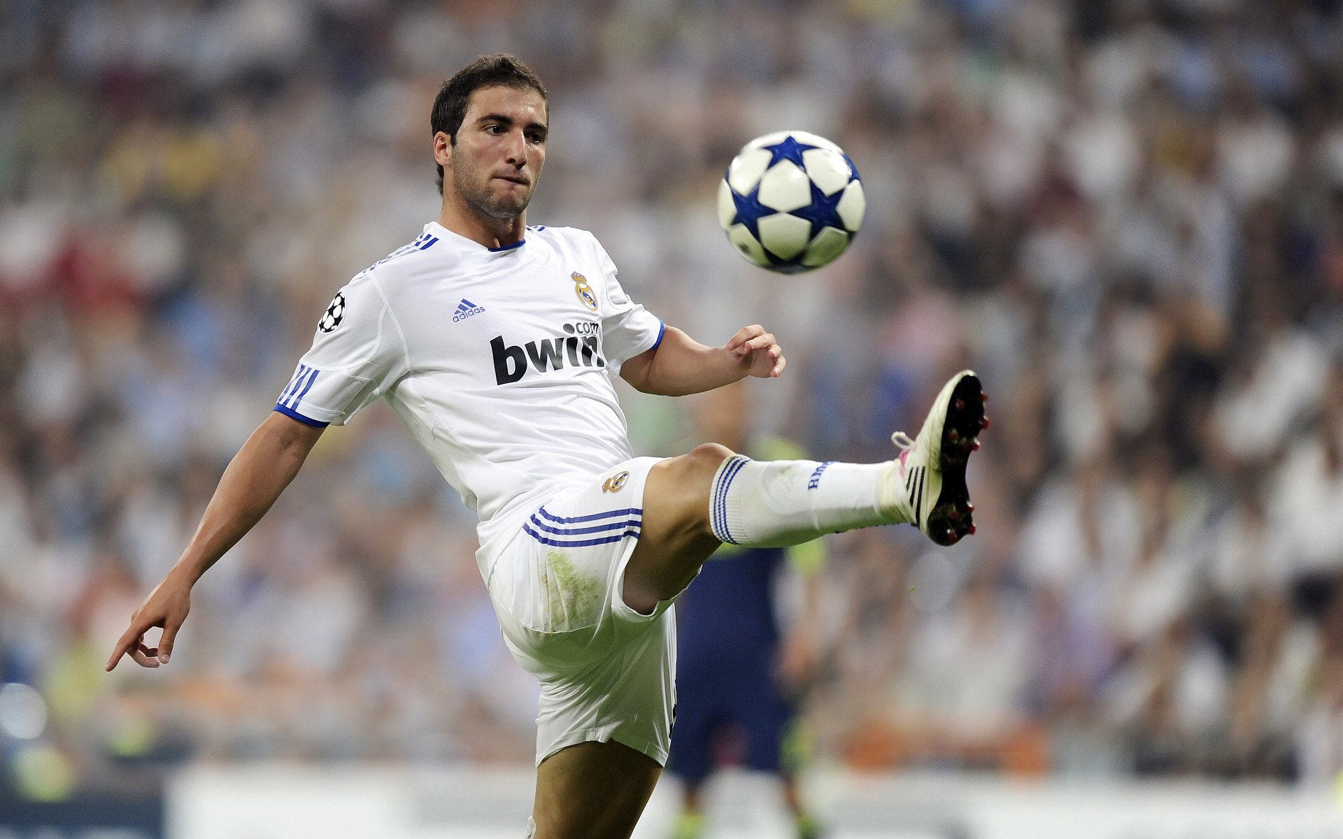 九游(jiuyou)官方网站-“帕布罗·马特拉的全能技能与领导魅力，帮助美洲狮队走向未来”